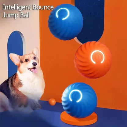 Bellevoir™ Smart Interactive Dog Ball