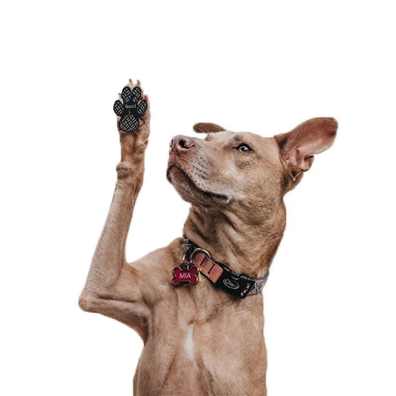 Bellevoir Anti-Slip Dog Paw Pads