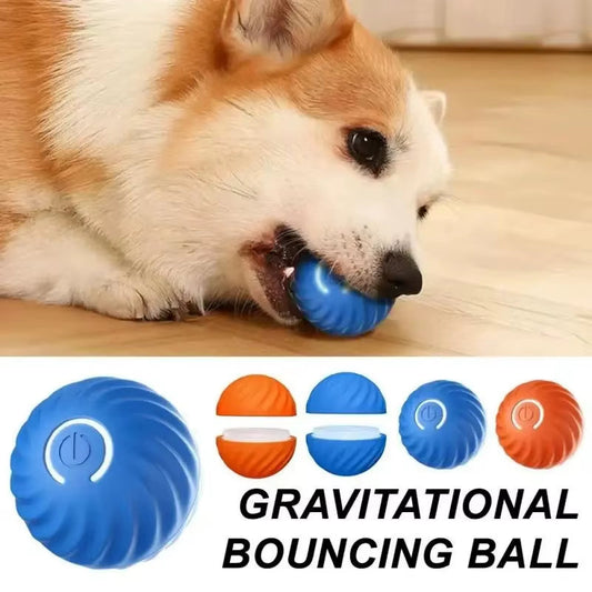 Bellevoir™ Smart Interactive Dog Ball