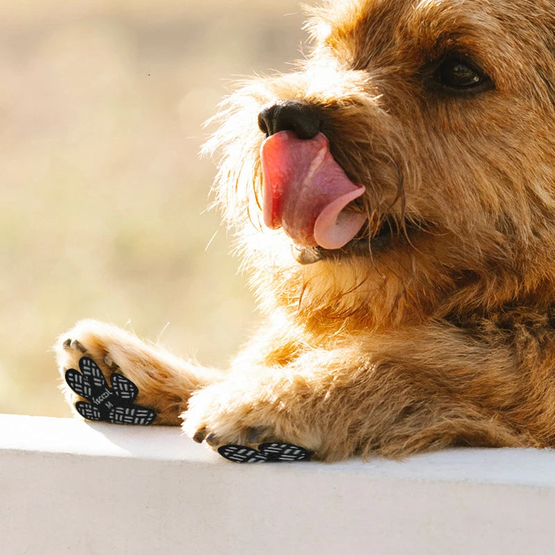 Bellevoir Anti-Slip Dog Paw Pads